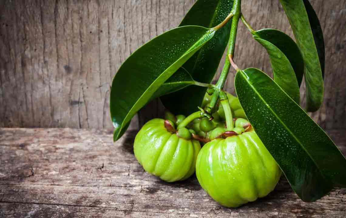 Things You Need to Know about Garcinia Cambogia