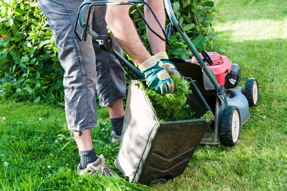 12 Things to Know Before Choosing a Lawn Care Service