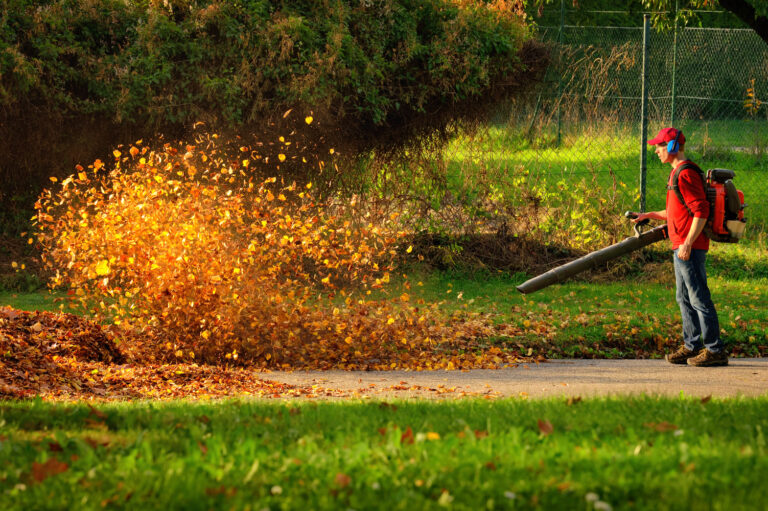 A Brief Guide To Buying A Leaf Blower