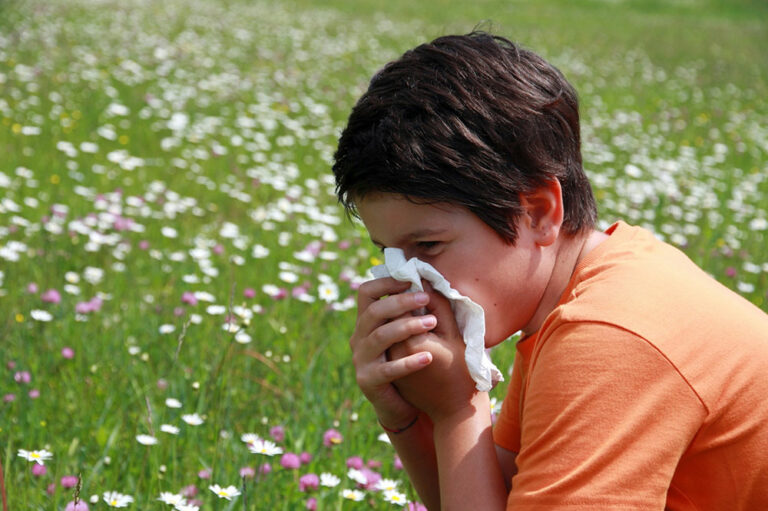 A Guide to Pollen Allergies