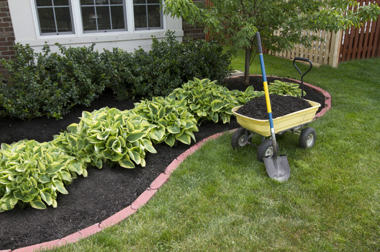 Advantages of rubber mulch