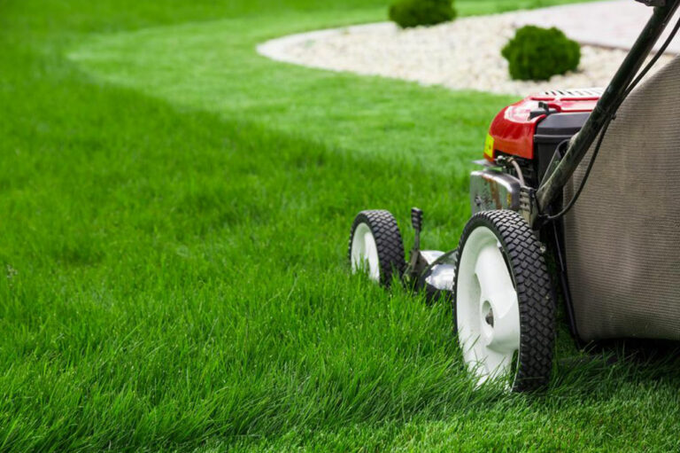 All you need to know about lawn mowers