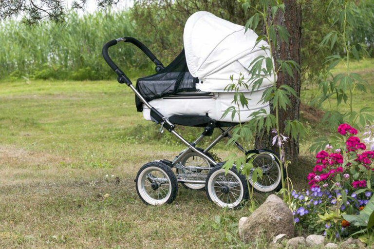 Baby strollers-A highly useful asset for your little one