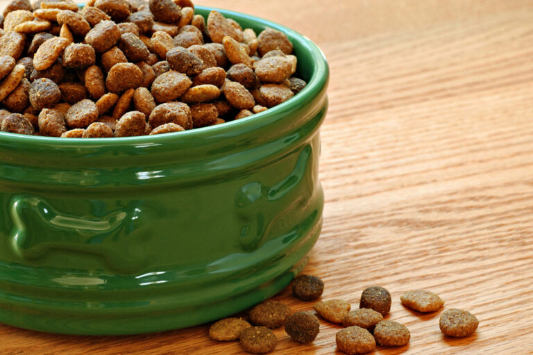 Benefits of Wet Dog Food