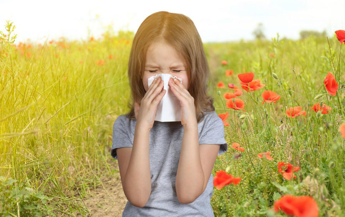 Best Seasonal Allergy Medicines to Keep Allergies at Bay