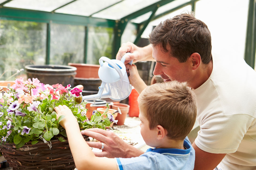 Best plants to grow in a greenhouse