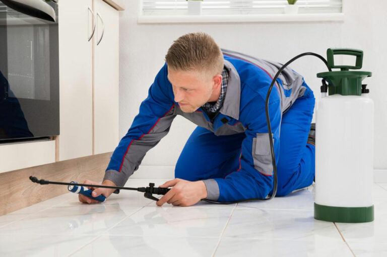 Common DIY home pest control solutions