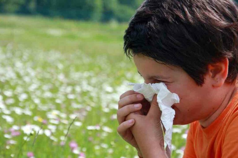 Everything You Need to Know about Pollen Count