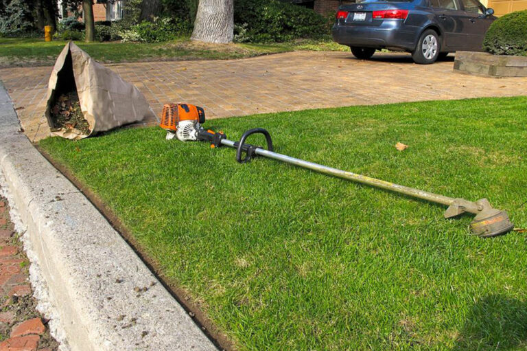 Factors to consider before buying a weed trimmer