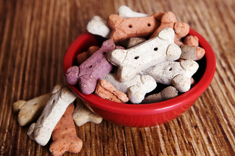 Factors to consider while picking healthy dog food