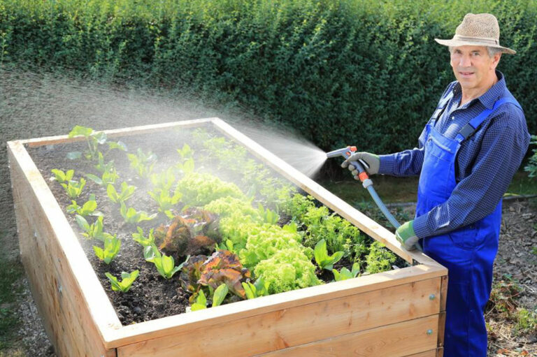 Four smart tips that every newbie gardener should know