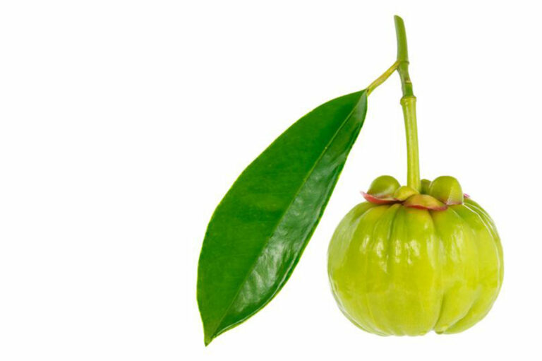 Garcinia &#8211; A simple fruit with numerous health benefits