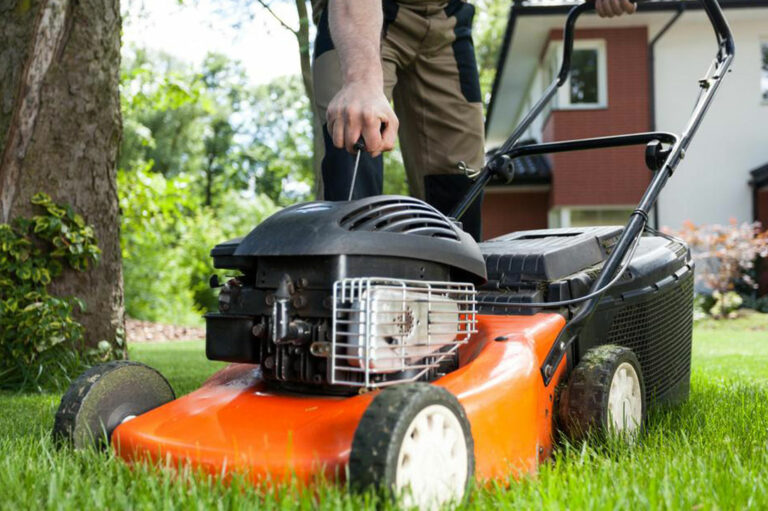 Get the perfect lawn with the bestselling mowers