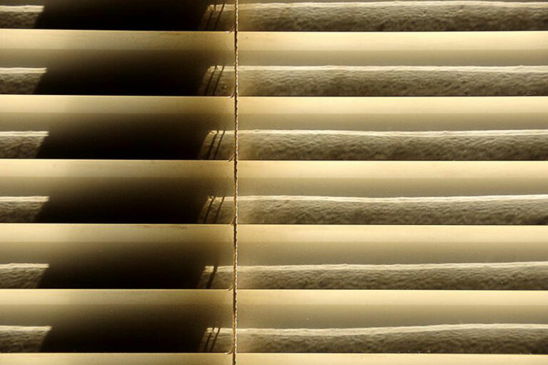 Here&#8217;s what the best blinds have to offer