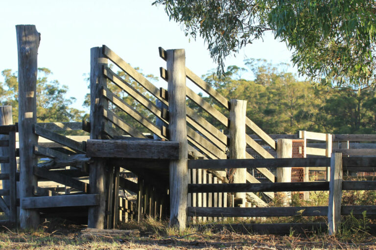 Here&#8217;s what you need to know about yard ramps