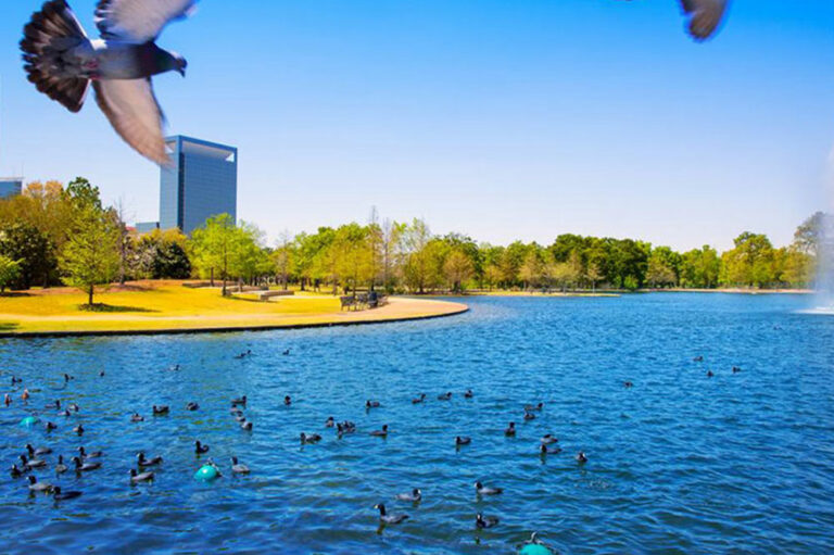 Here&#8217;s what you will find in the Texas waters during summer and spring