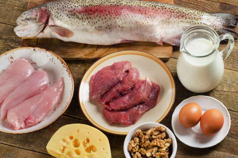 High-protein foods that must be included in your diet