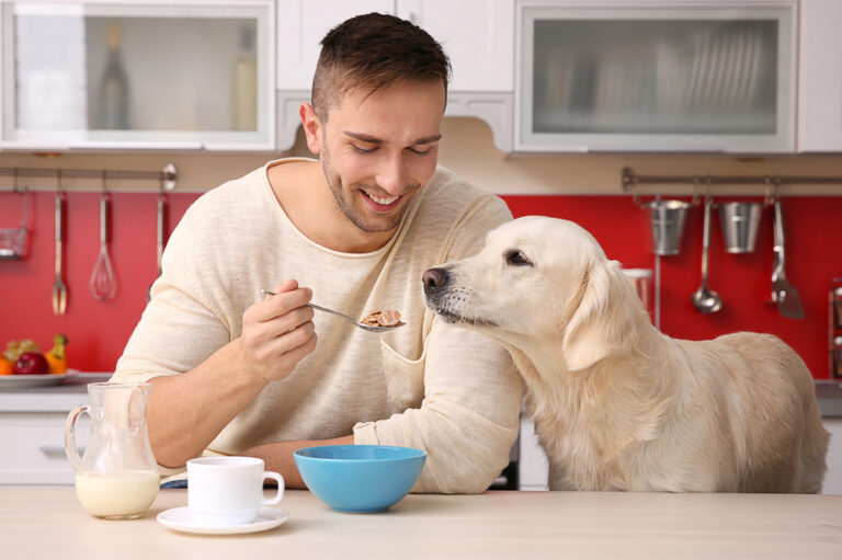 How To Choose The Best Dog Food For Your Furry Friend