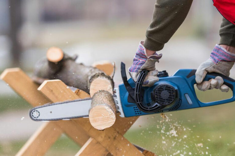 How to choose a chainsaw for your garden