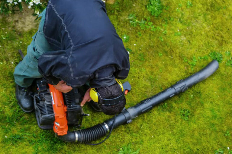 How to choose the right leaf blower for your garden