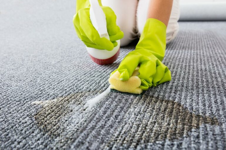 How to remove coffee stains, pet mess, and ink stains from your carpet