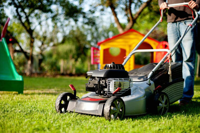 Keep your garden organized and pleasant with lawn mowers