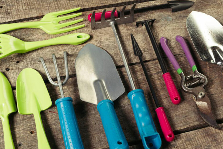 Keep your garden weed-free and clean with right garden tools