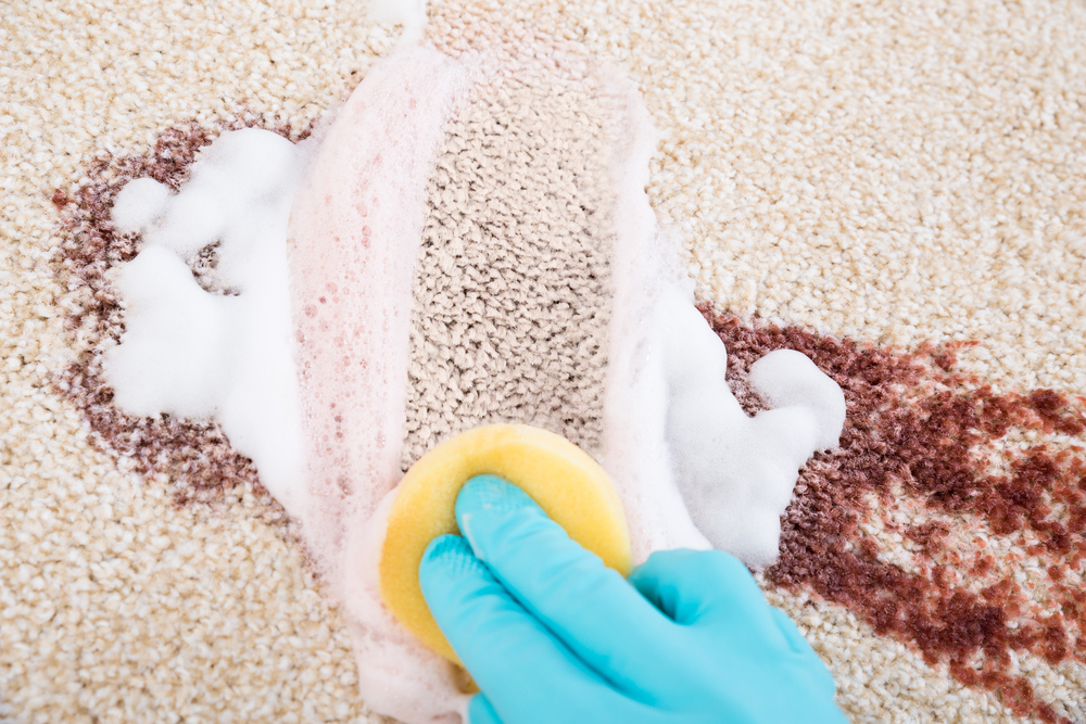 Know about the Benefits of Carpet Stain Removers