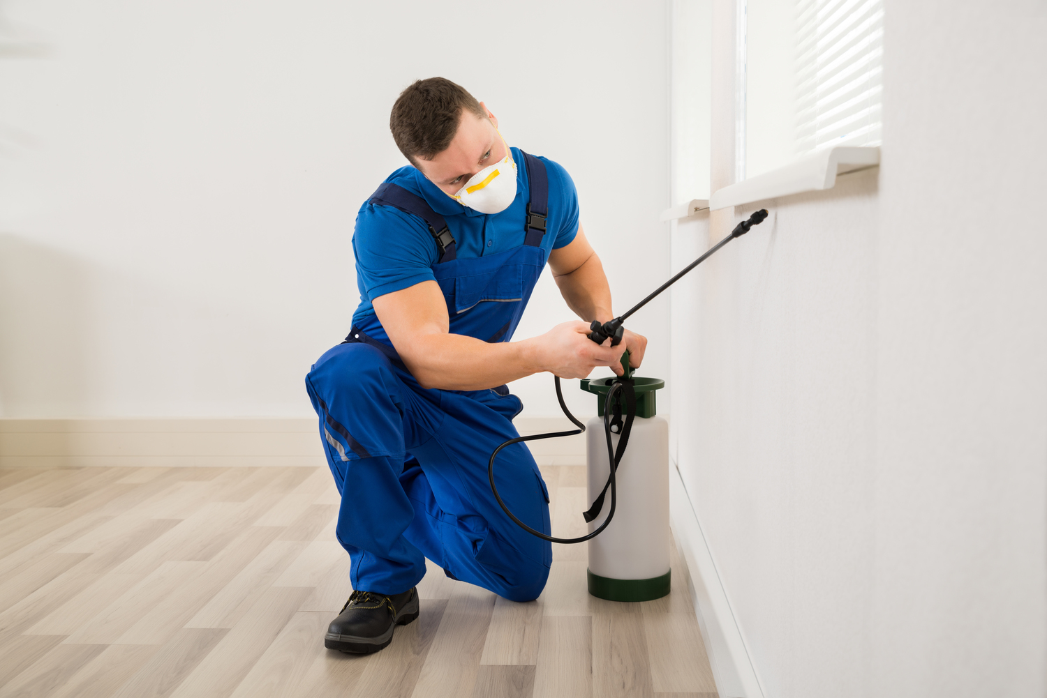 Pest Control &#8211; Types, Cost, And Top Services