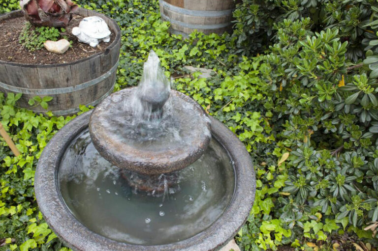 Popular types of water fountains you should know about