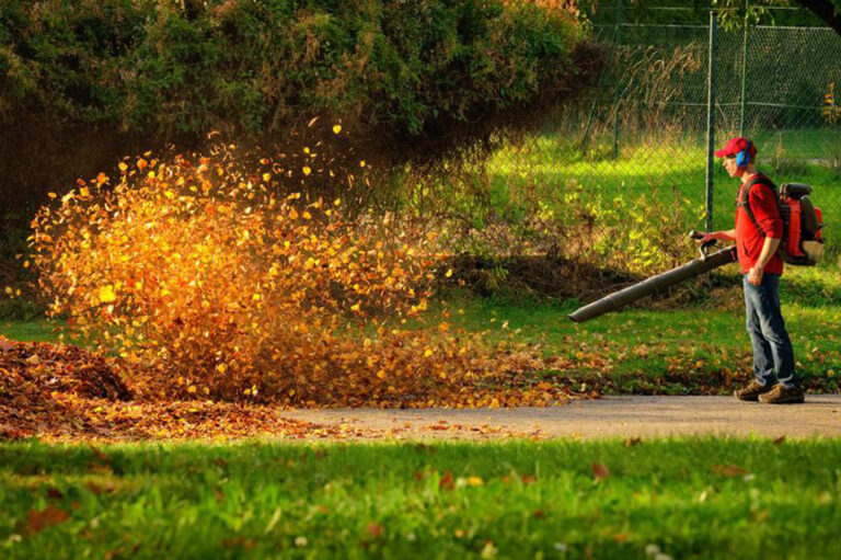 Popular affordable leaf blowers under $100