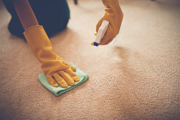 Popular carpet stain removers