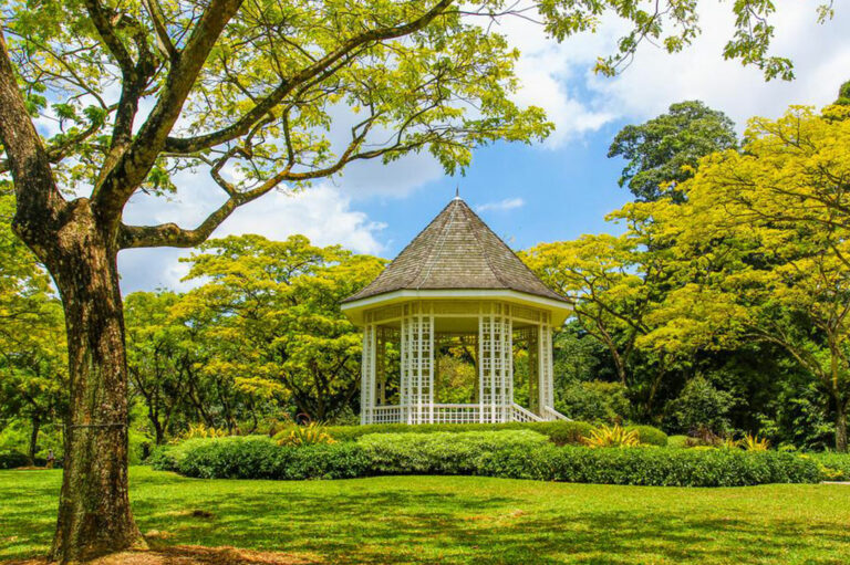 Six inspiring gazebo styles for your outdoor