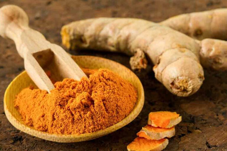 Turmeric Curcumin: The Elixir of Good Health