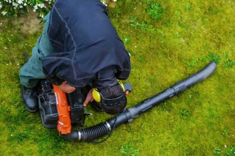 Types of leaf blowers and uses