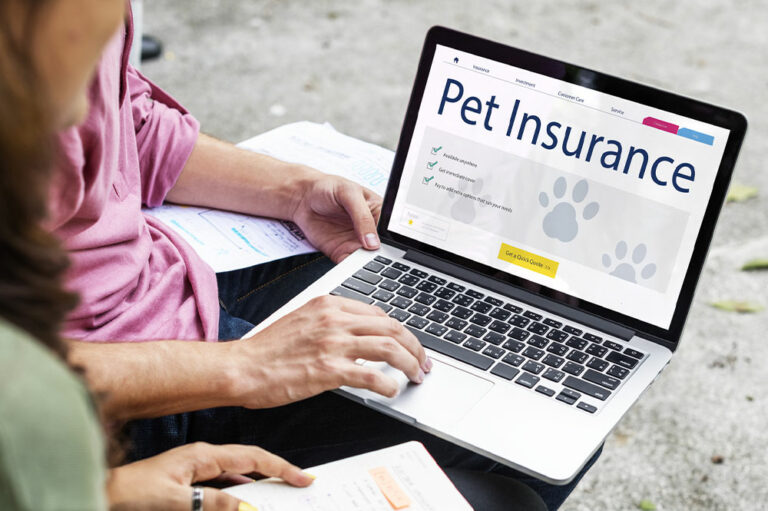 The Importance of a Pet Insurance