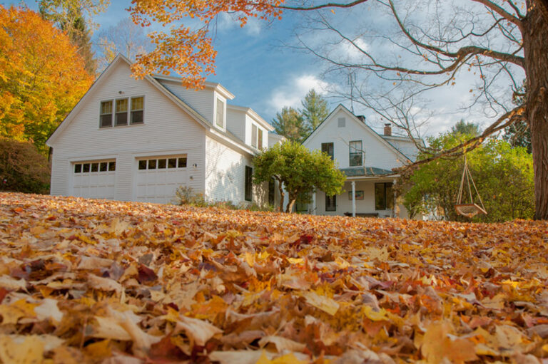 Things to consider before renting a house in the country