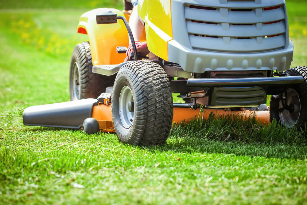 Things to know before hiring a grass cutting service