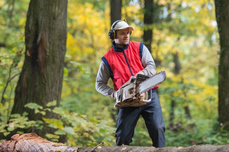 Tips to buy chainsaw and save money without quality compromise