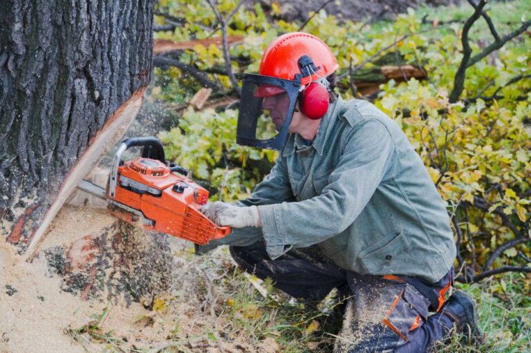 Tips to buy chainsaw for the first time