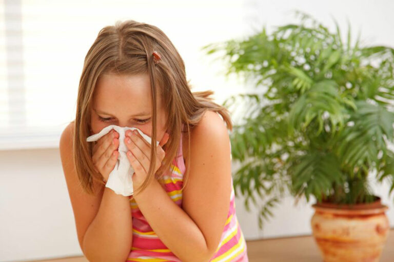 Tips to prevent allergies from three primary sources