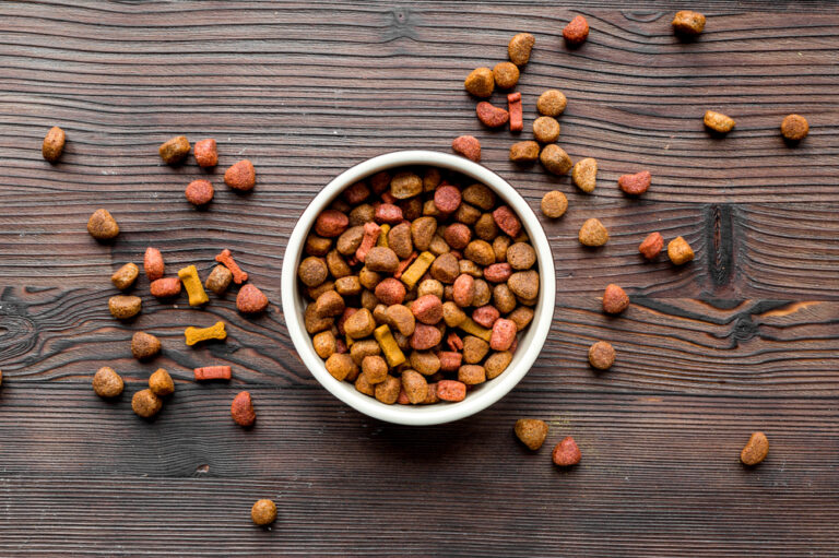 Tips for Buying the Best Dog Food