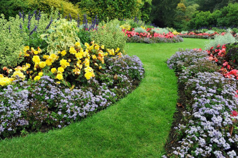 Tips for maintaining a neat and beautiful garden