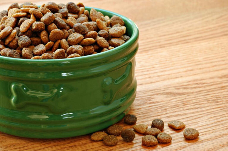 Top 10 pocket friendly dry dog and puppy food