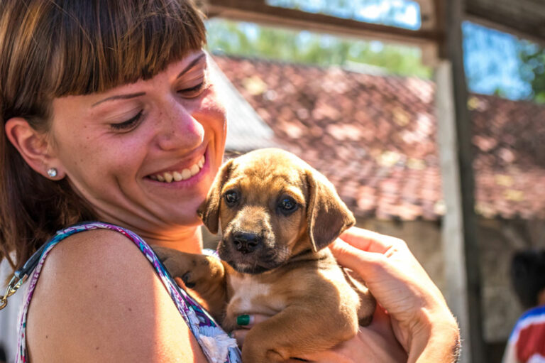 Top ten puppy-adoption centers