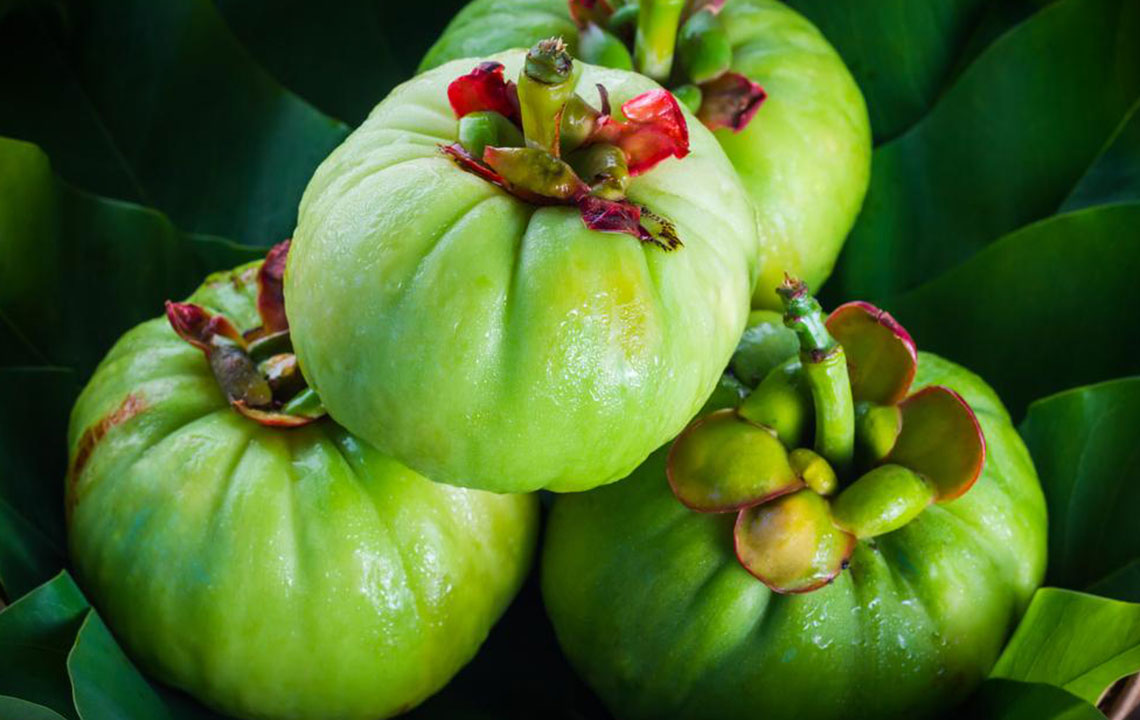 Understanding how Garcinia Cambogia works