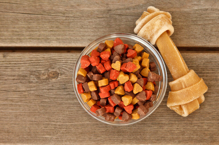 What Kind Of Food Is Best For Your Pet Dog