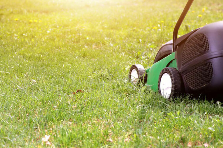 Your guide to choosing an ideal lawn mower