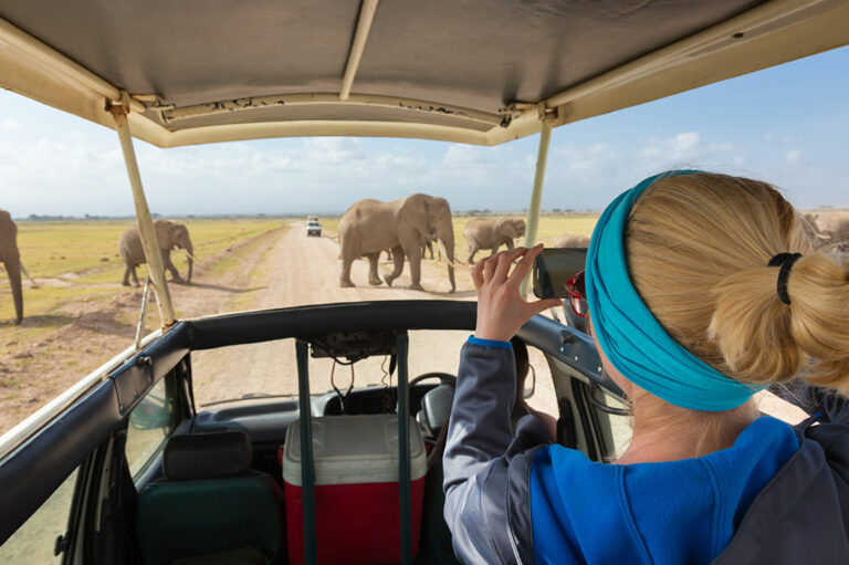 3 African safaris that will offer the best adventure