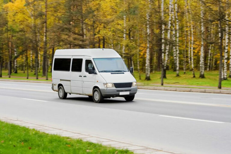 3 best mini cargo vans for your business